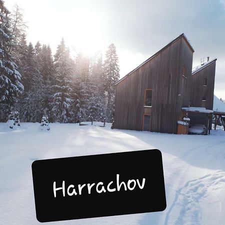 Chalet Harrachov Exterior foto