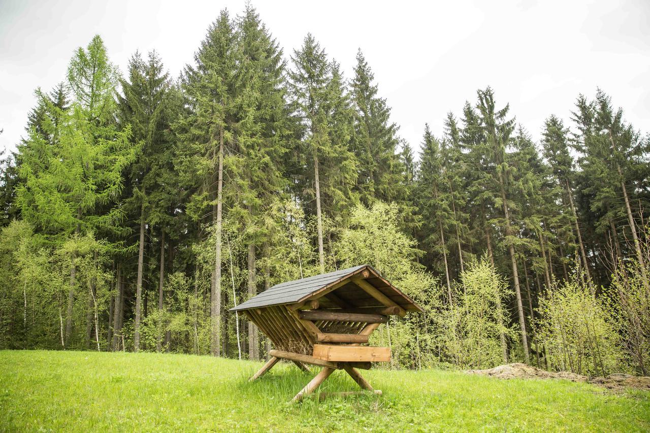 Chalet Harrachov Exterior foto